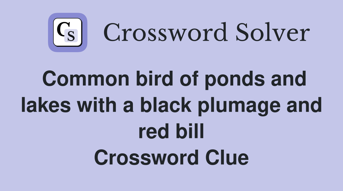 Common bird of ponds and lakes with a black plumage and red bill